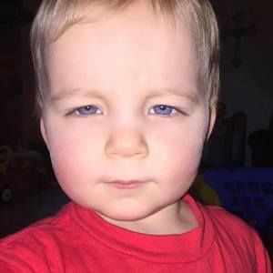 Meet your Posher, Wayne